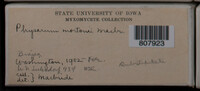 Image Associated With the Occurence